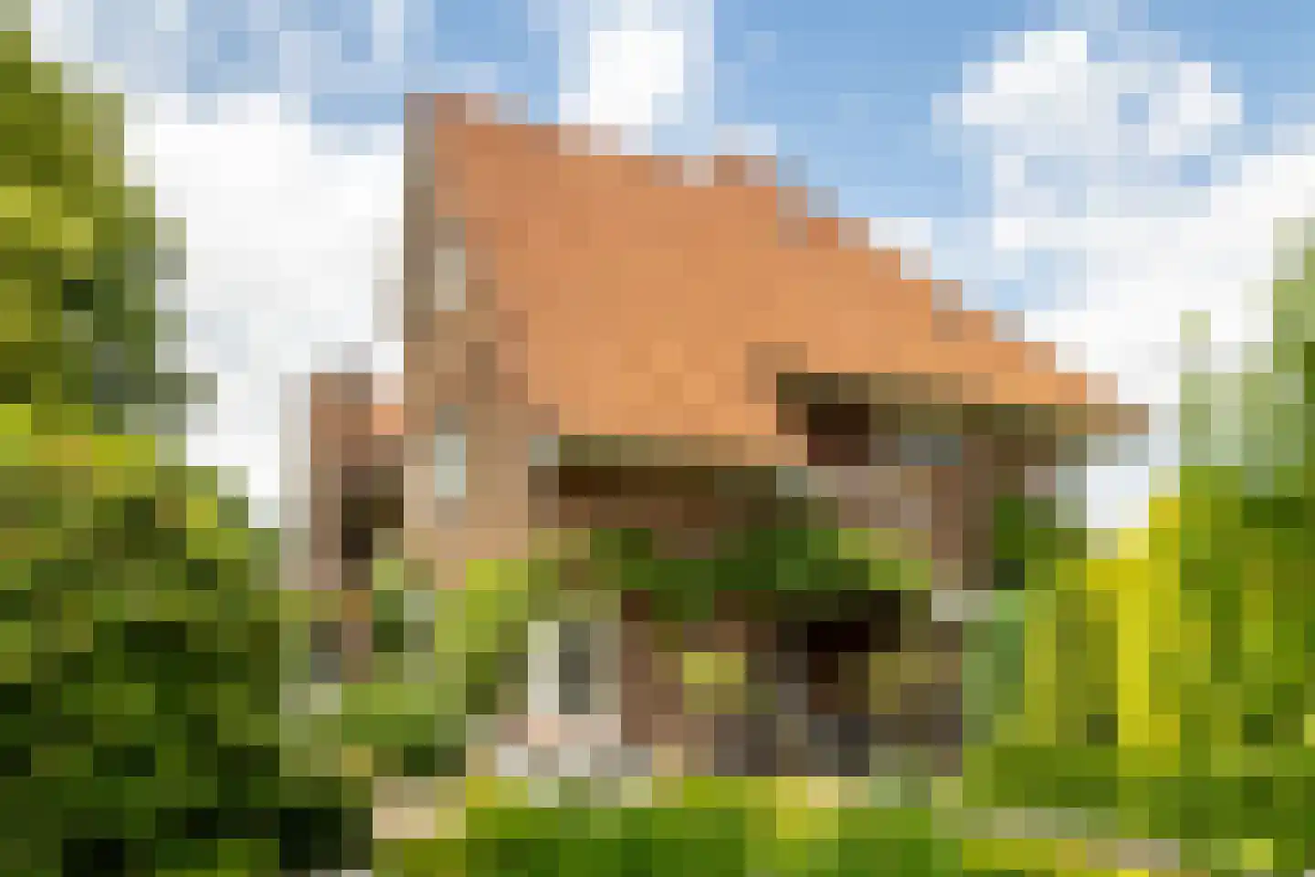 de Roy van Zuidewijnlaan 43 Breda thumbnail 78