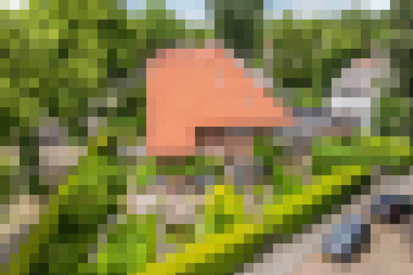 de Roy van Zuidewijnlaan 43 Breda thumbnail 80