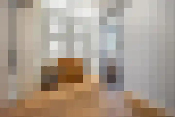 de Roy van Zuidewijnlaan 8 Breda thumbnail 18