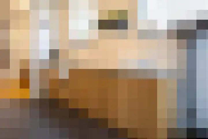 de Roy van Zuidewijnlaan 8 Breda thumbnail 22
