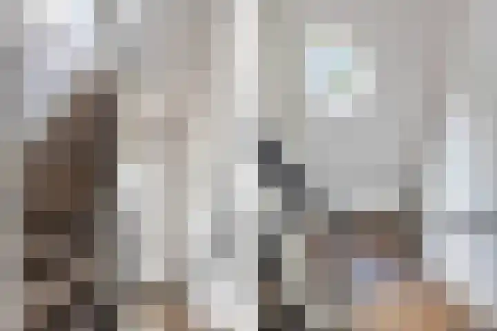 de Roy van Zuidewijnlaan 8 Breda thumbnail 27