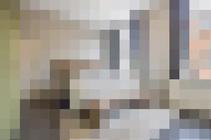 de Roy van Zuidewijnlaan 8 Breda thumbnail 31