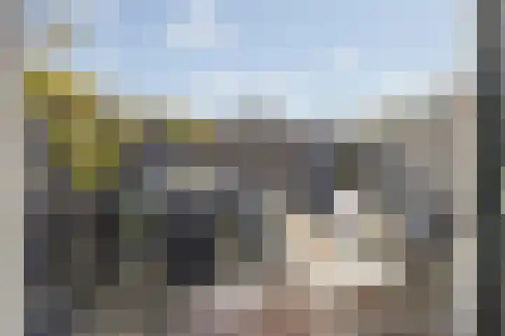 de Roy van Zuidewijnlaan 8 Breda thumbnail 37