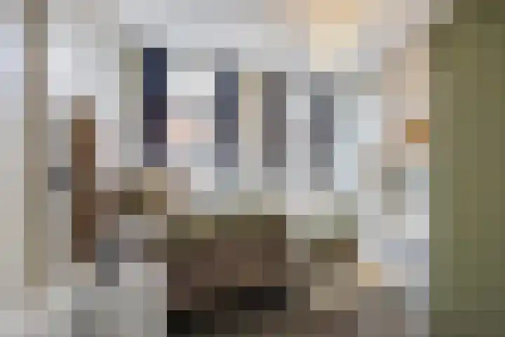 de Roy van Zuidewijnlaan 8 Breda thumbnail 5