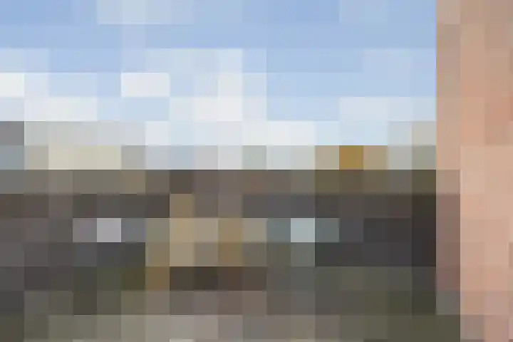 de Roy van Zuidewijnlaan 8 Breda thumbnail 58