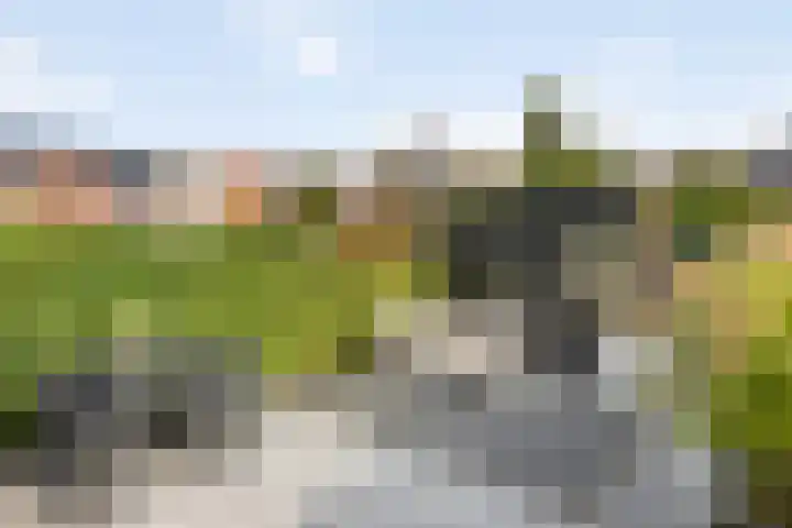 De Rozengaarden 11 Oldenzaal thumbnail 22