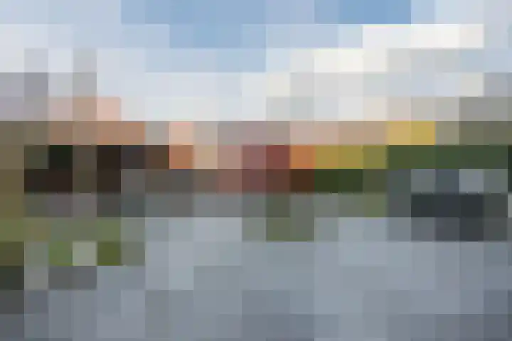 De Rozengaarden 26 Oldenzaal thumbnail 42