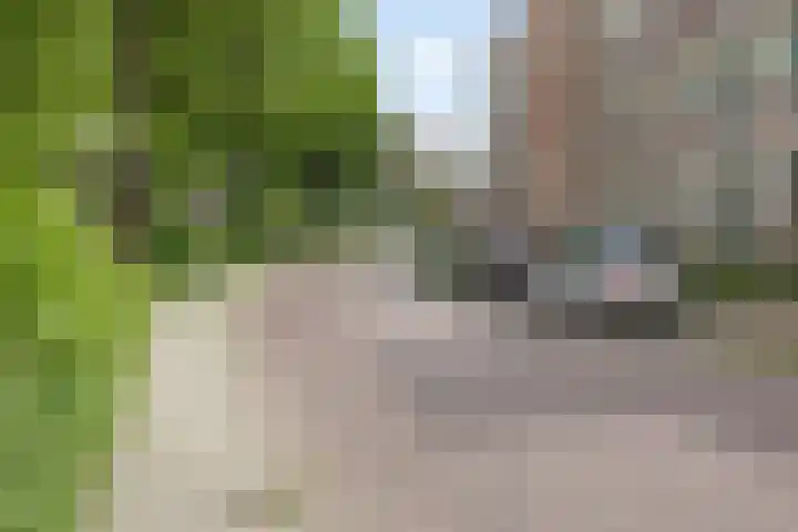 De Rozengaarden 9 Oldenzaal thumbnail 32