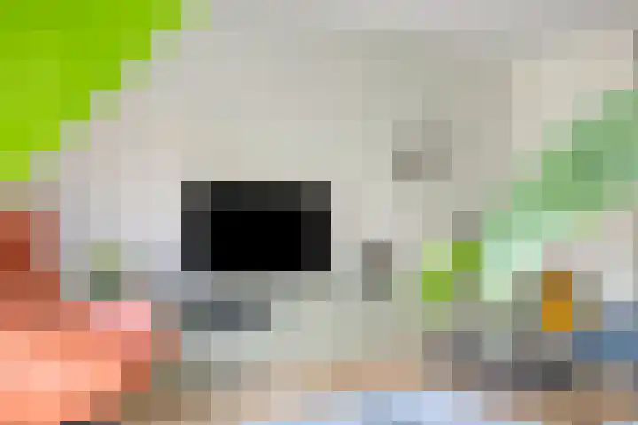 De Rozengaarden 9 Oldenzaal thumbnail 8