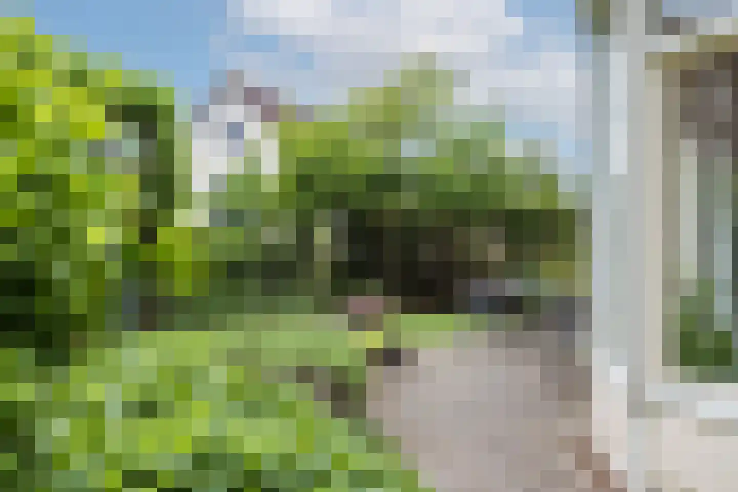 De Rozenhaag 10 Zutphen thumbnail 26