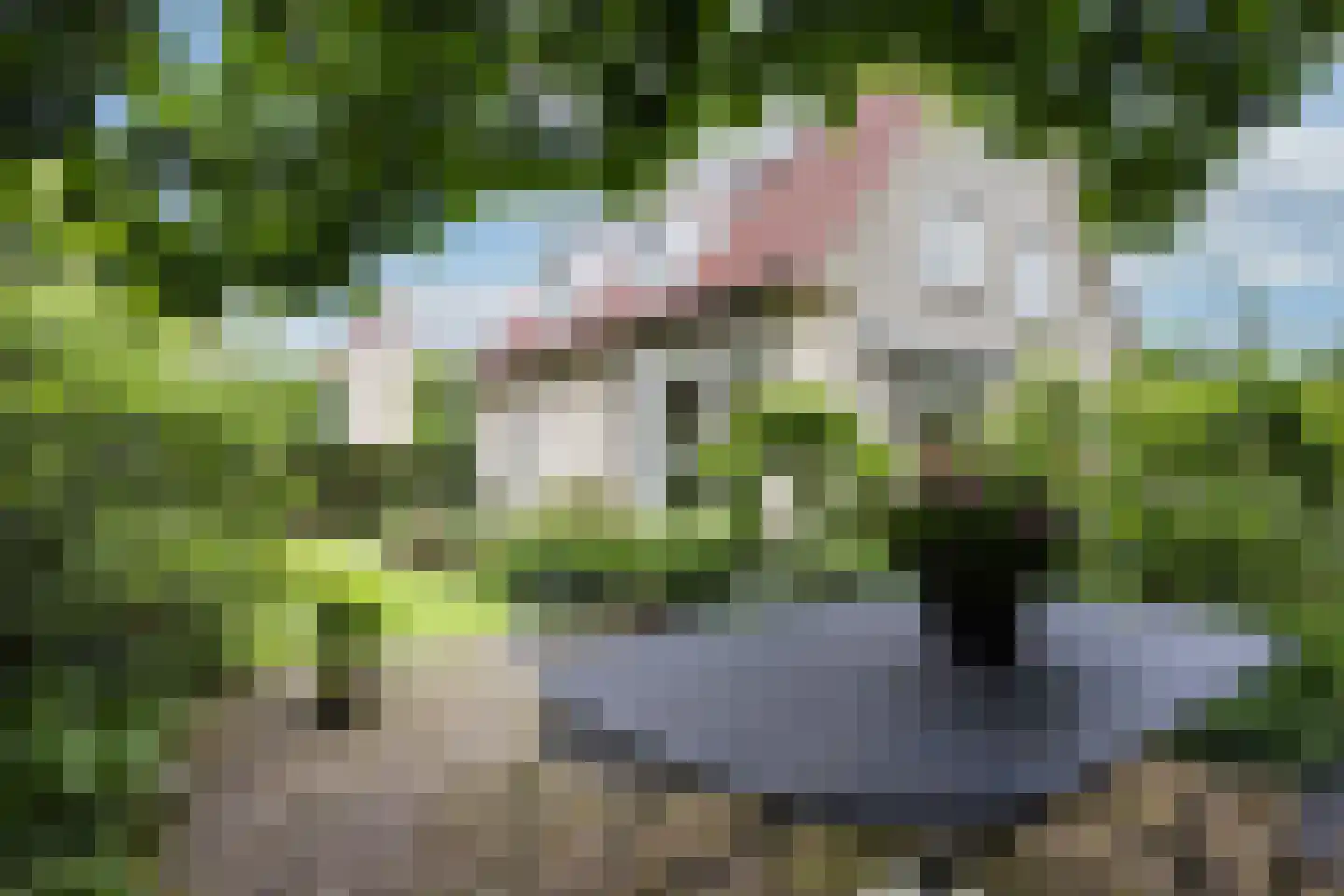 De Rozenhaag 10 Zutphen thumbnail 27