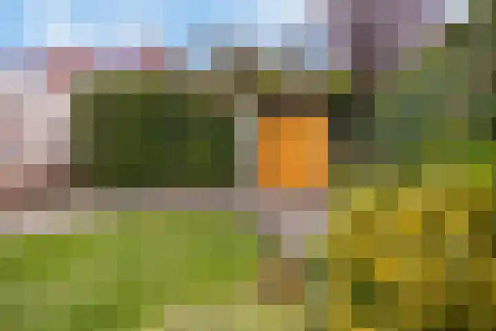 De Rozenhaag 6 Zutphen thumbnail 41