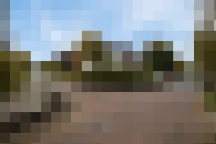 De Rozenhaag 6 Zutphen thumbnail 48
