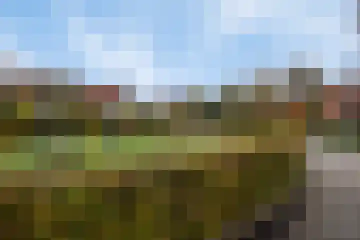 De Rozenhaag 6 Zutphen thumbnail 49