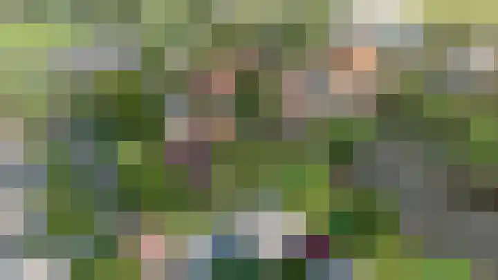 De Rug 15 Lauwersoog thumbnail 13