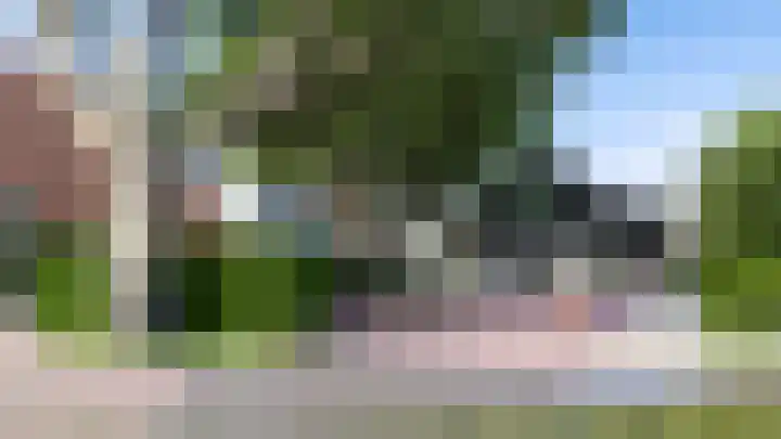 De Rug 17 Lauwersoog thumbnail 15