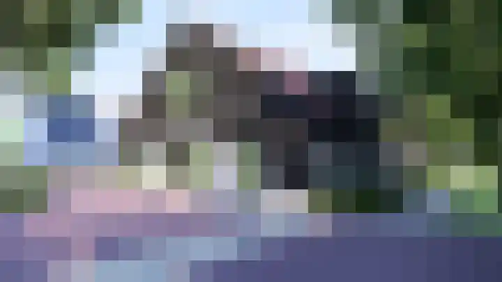 De Rug 17 Lauwersoog thumbnail 8