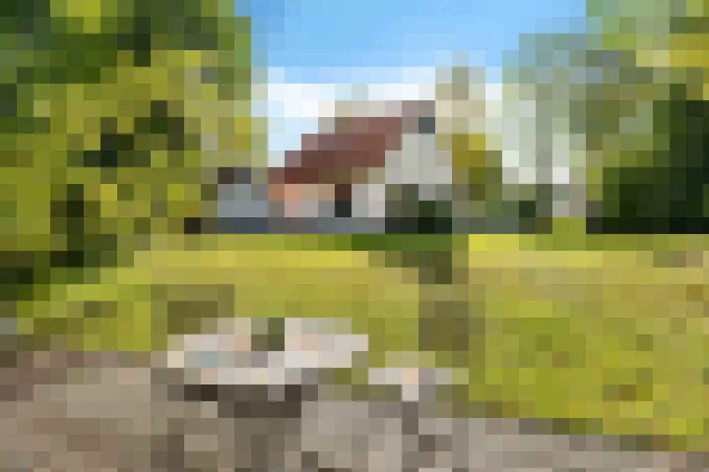 De Rug 3 120 Lauwersoog