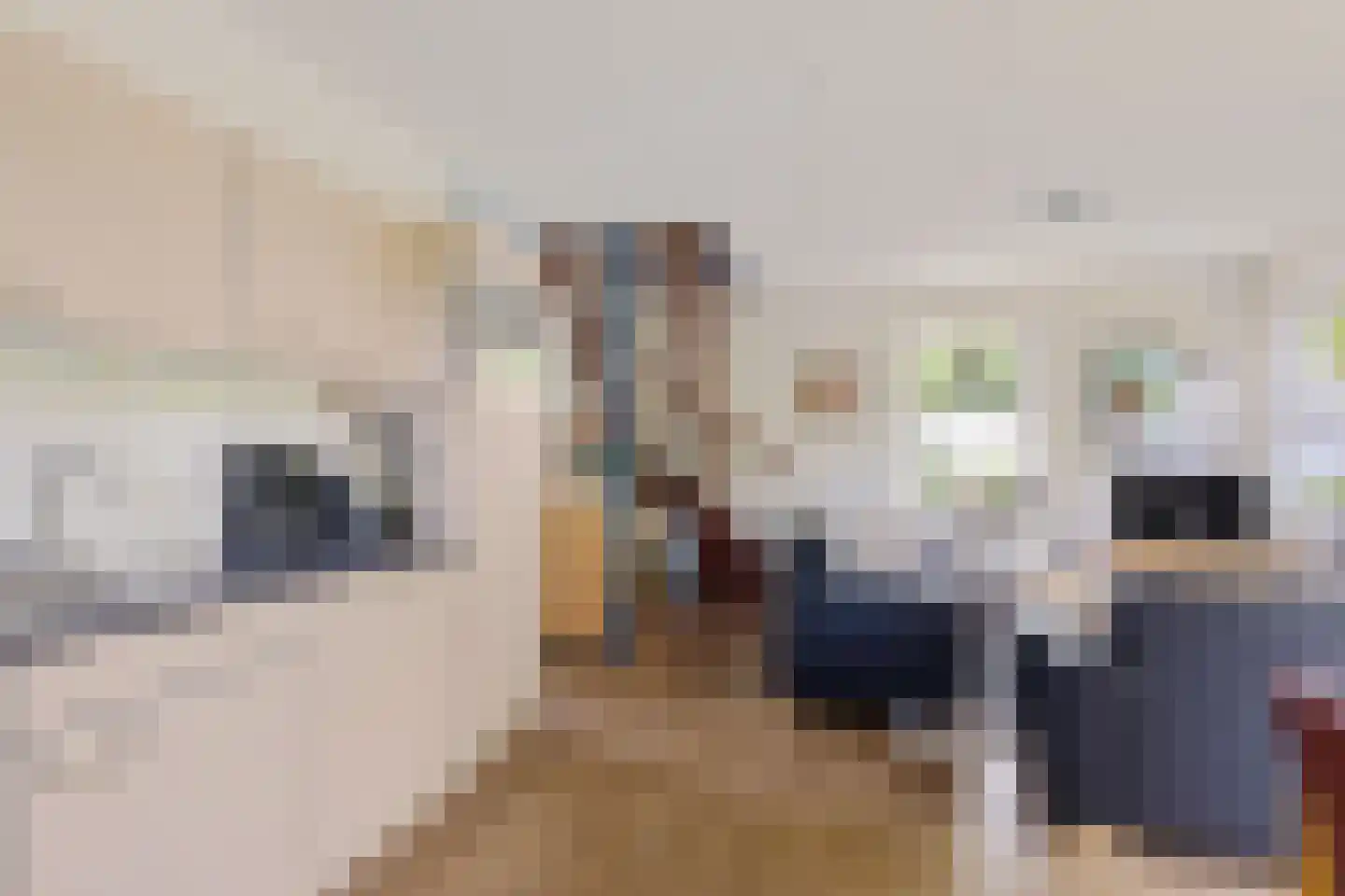 De Rug 3 120 Lauwersoog thumbnail 14