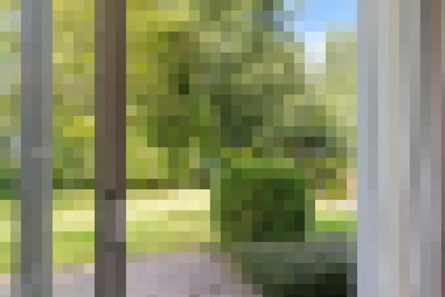 De Rug 3 120 Lauwersoog thumbnail 23