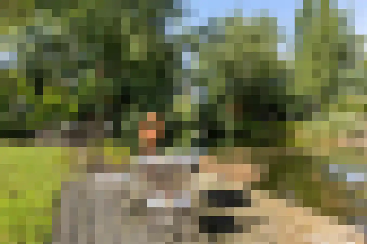 De Rug 3 120 Lauwersoog thumbnail 28
