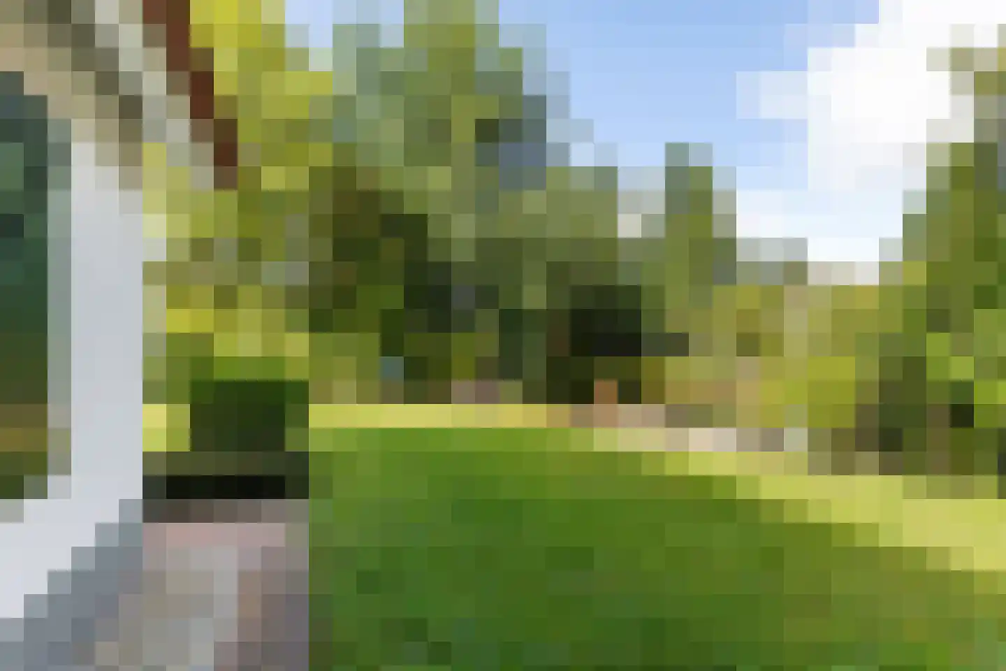 De Rug 3 120 Lauwersoog foto 3