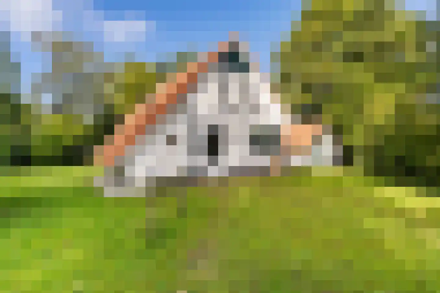 De Rug 3 120 Lauwersoog thumbnail 31