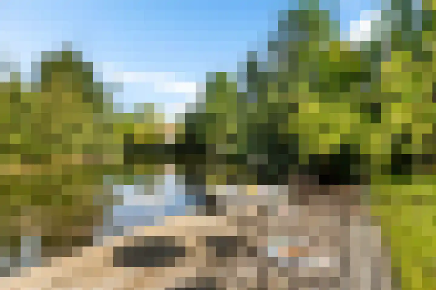 De Rug 3 120 Lauwersoog thumbnail 4