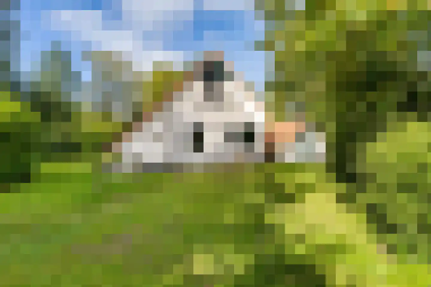 De Rug 3 120 Lauwersoog thumbnail 5