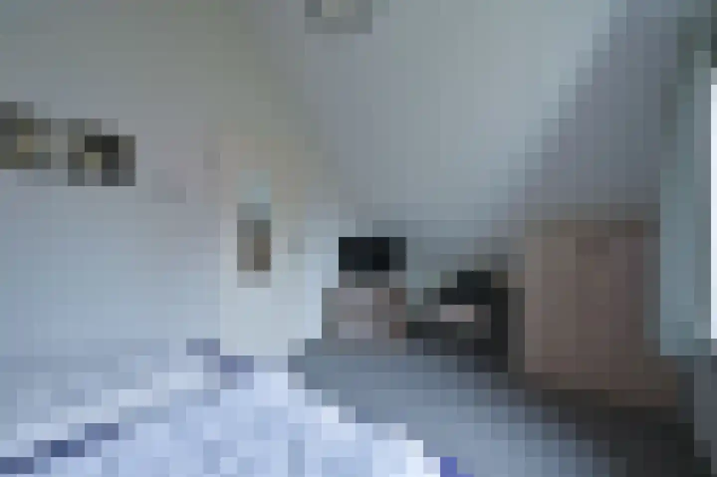 De Rug 3 134 Lauwersoog thumbnail 15
