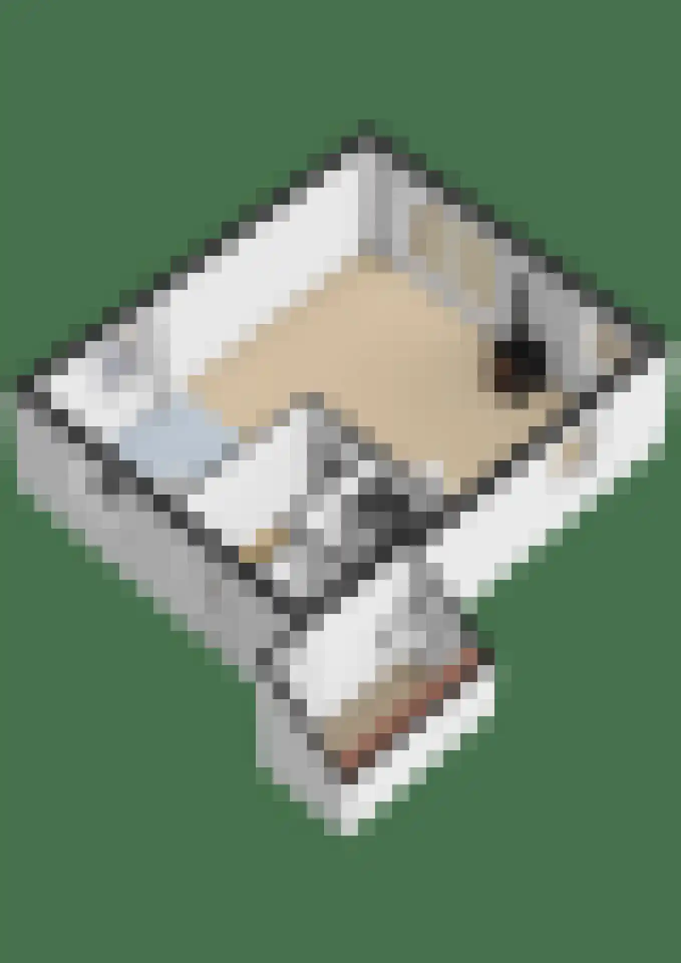 De Rug 3 134 Lauwersoog thumbnail 25