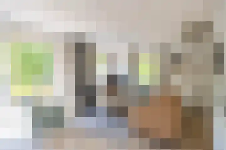 De Rug 3 143 Lauwersoog thumbnail 11