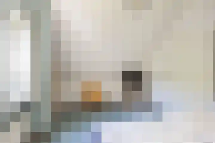 De Rug 3 143 Lauwersoog thumbnail 22