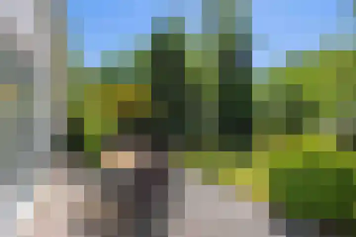 De Rug 3 143 Lauwersoog thumbnail 26