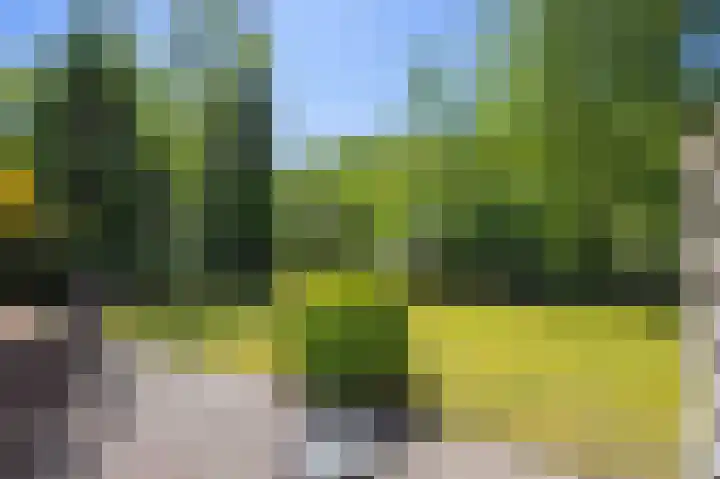De Rug 3 143 Lauwersoog thumbnail 27