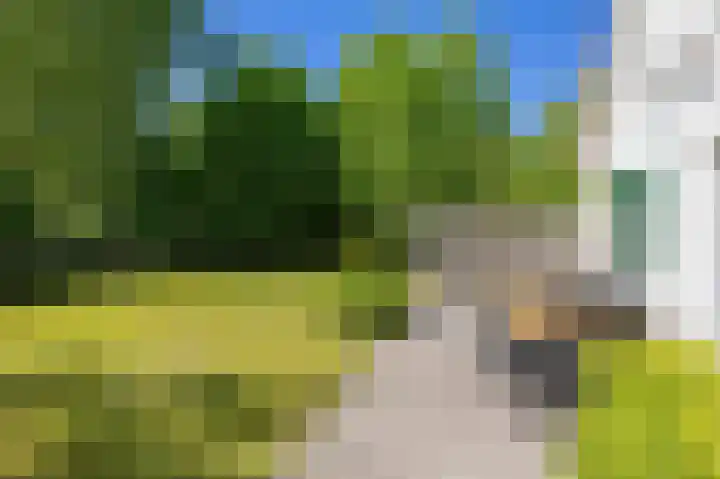 De Rug 3 143 Lauwersoog thumbnail 28