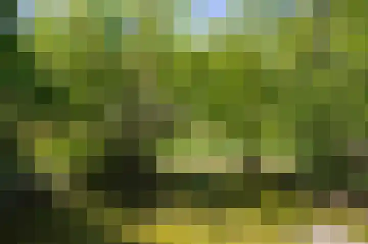 De Rug 3 143 Lauwersoog thumbnail 29