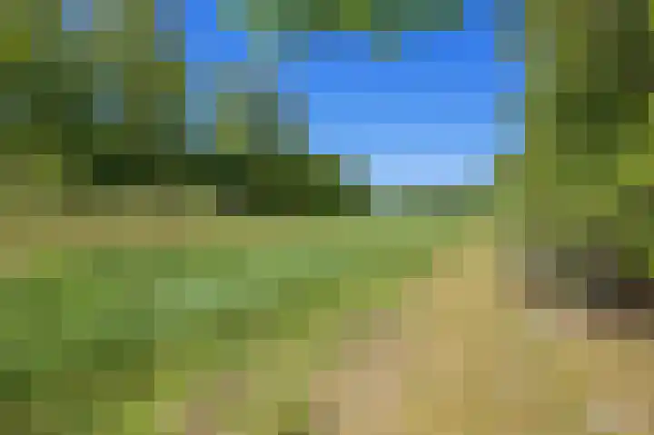 De Rug 3 143 Lauwersoog thumbnail 30