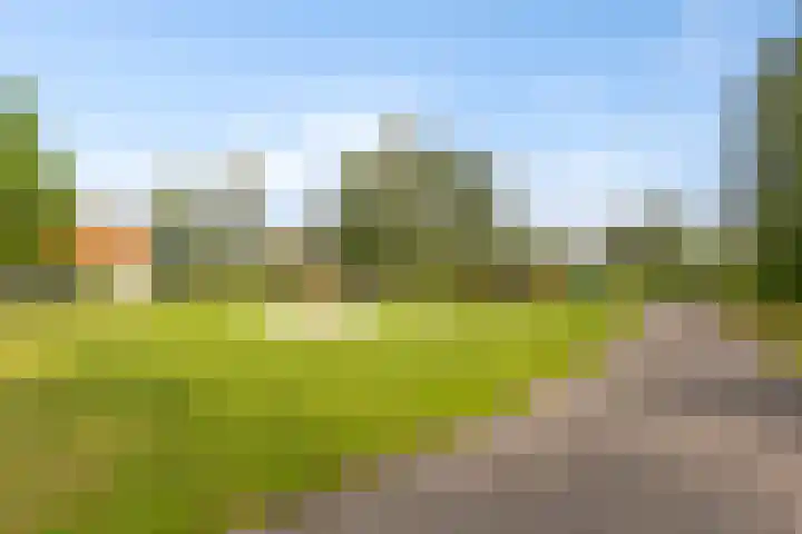De Rug 3 143 Lauwersoog thumbnail 34