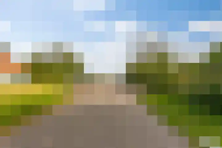 De Rug 3 143 Lauwersoog thumbnail 35