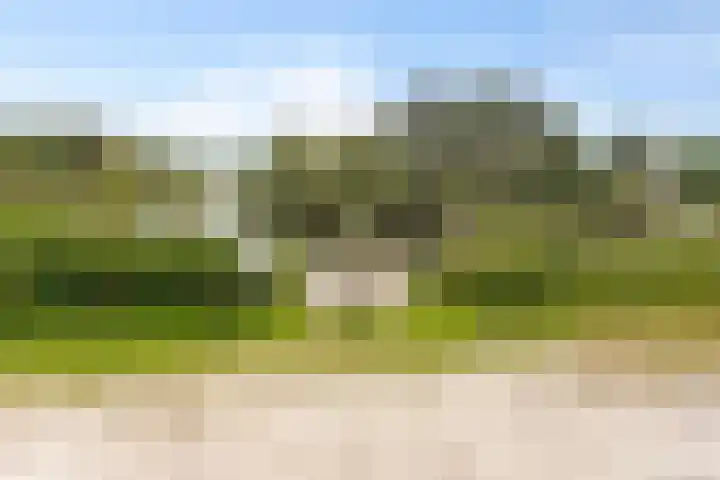De Rug 3 143 Lauwersoog thumbnail 37