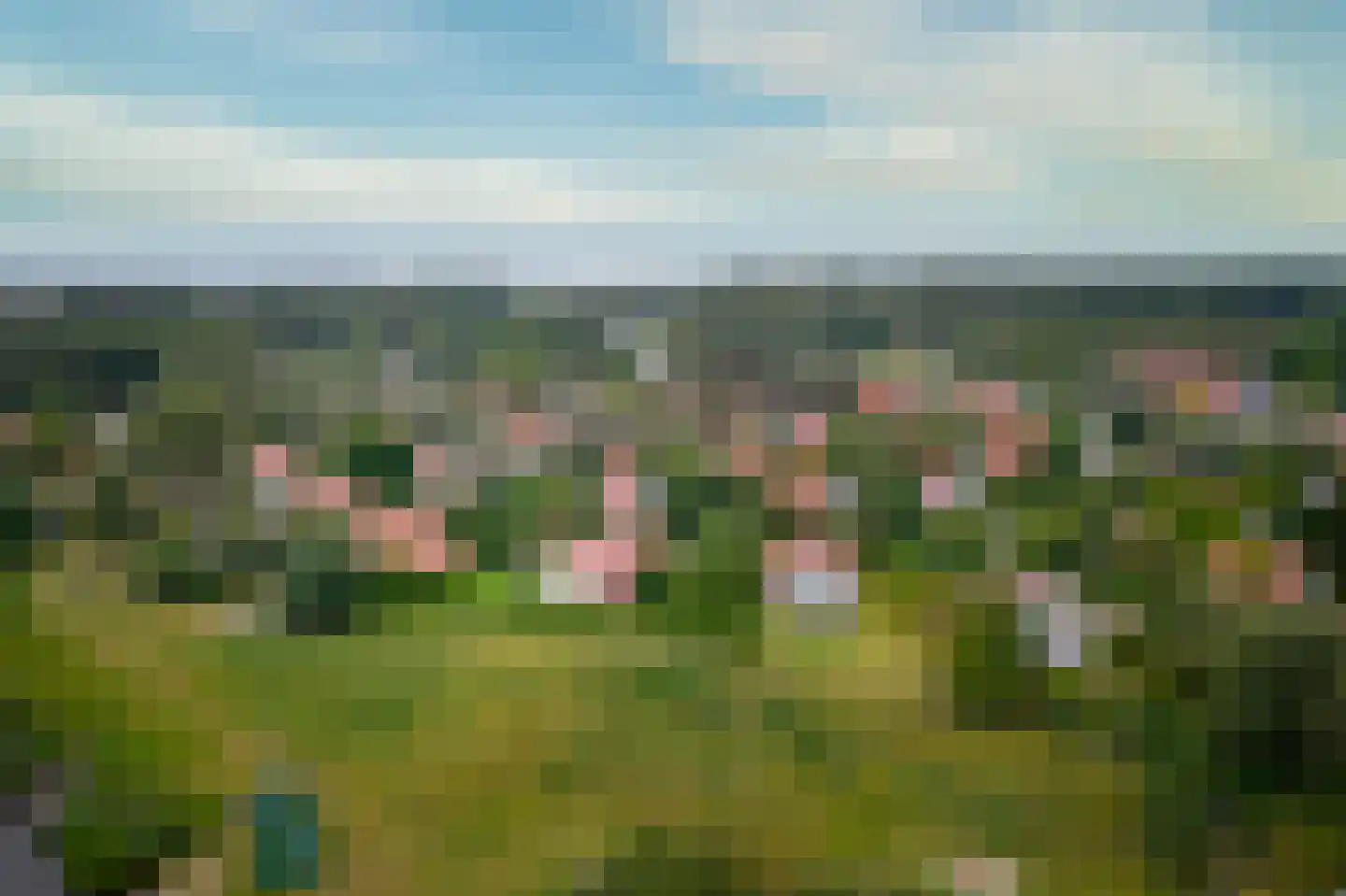 De Rug 3 149 Lauwersoog thumbnail 26