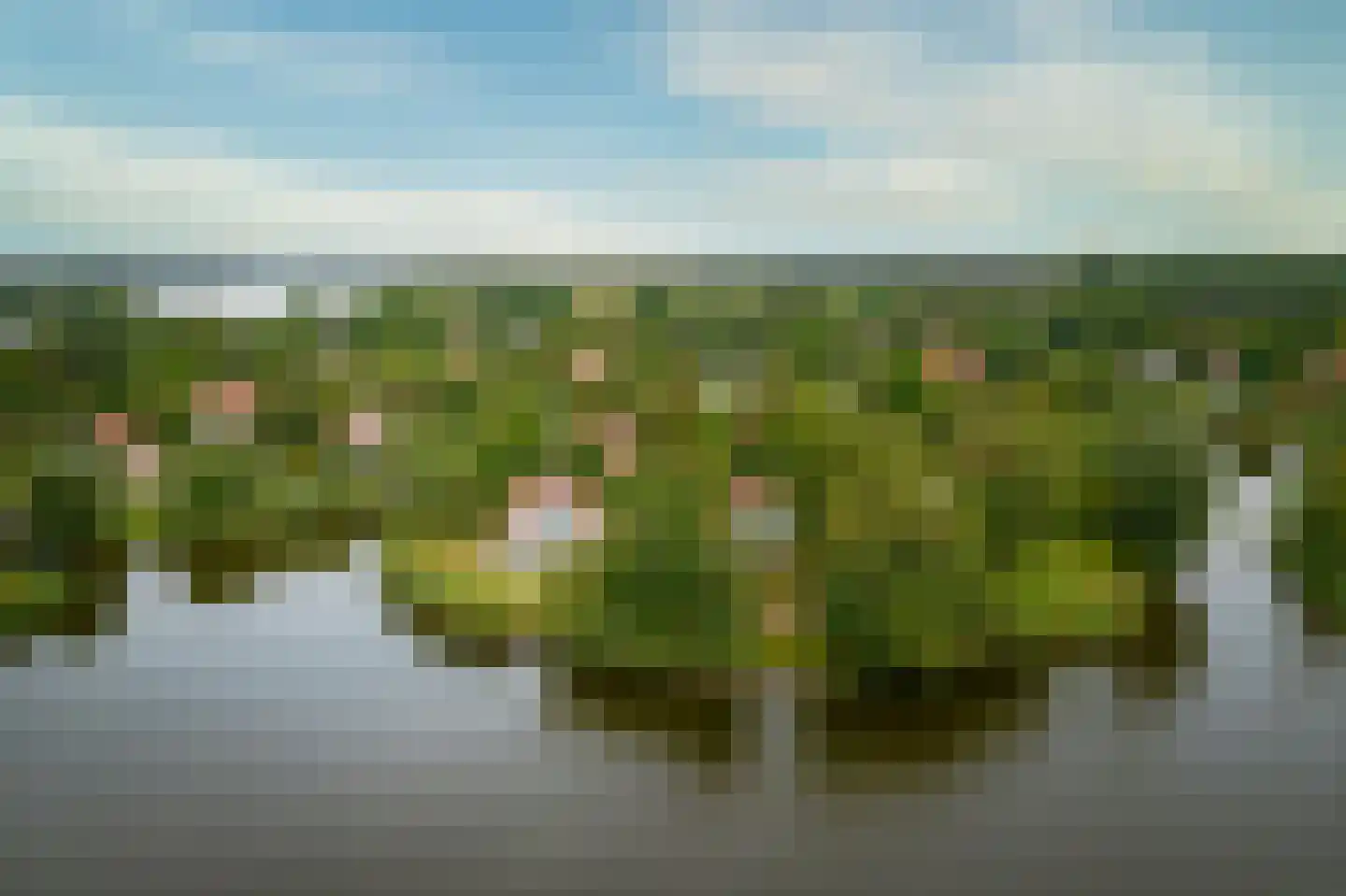 De Rug 3 149 Lauwersoog thumbnail 28