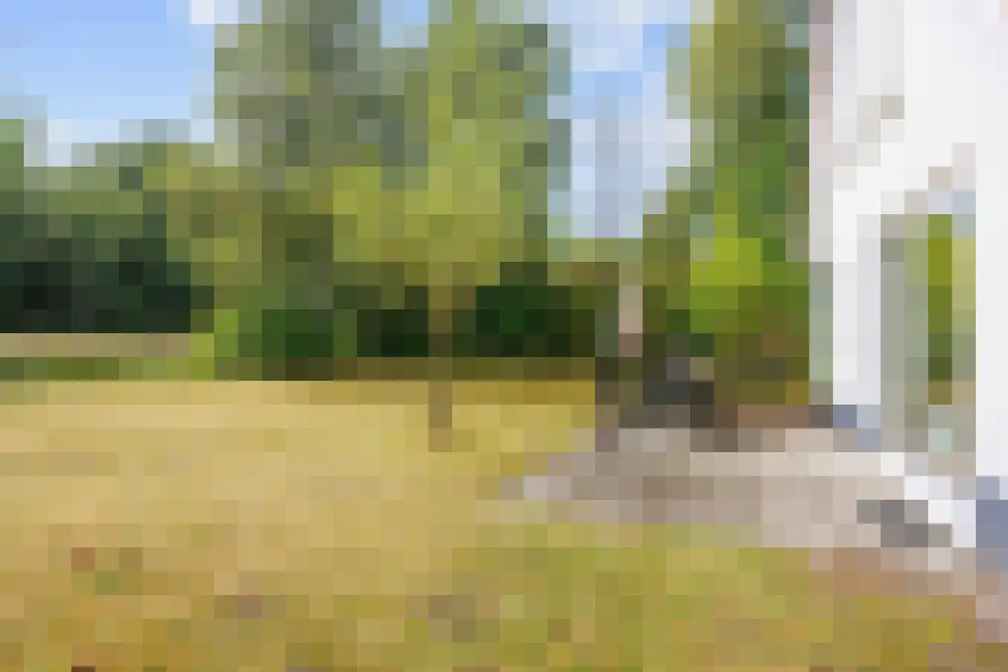 De Rug 3 158 Lauwersoog thumbnail 25