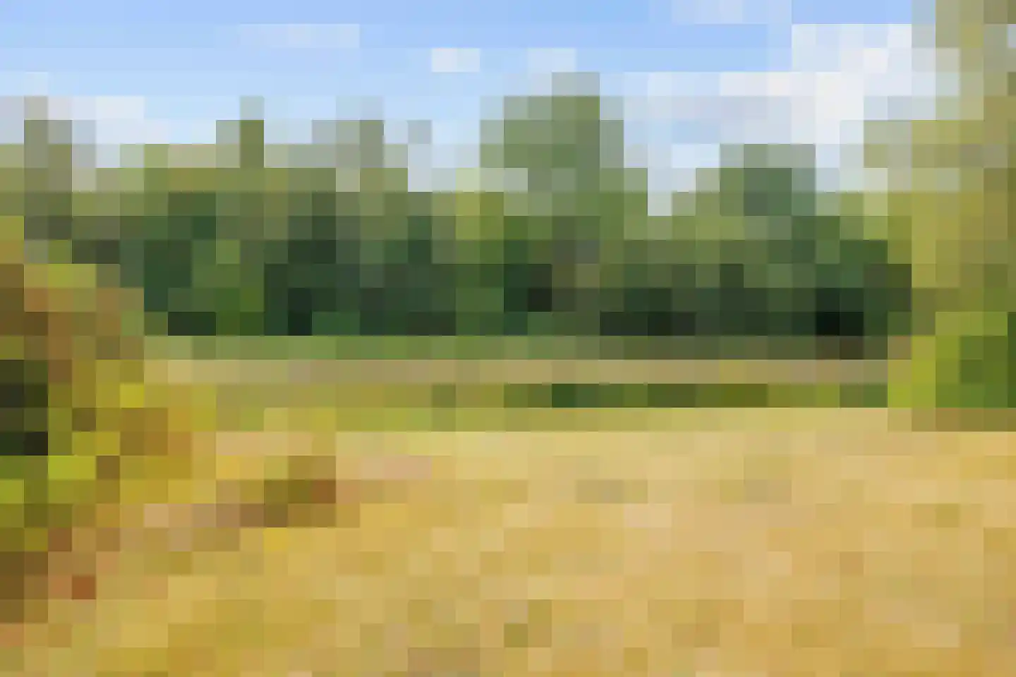 De Rug 3 158 Lauwersoog thumbnail 27