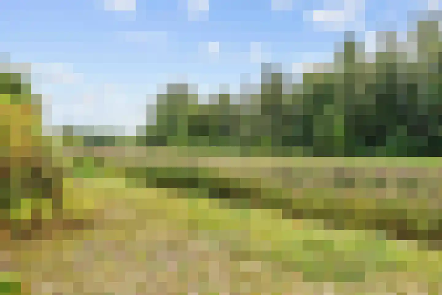 De Rug 3 158 Lauwersoog thumbnail 28