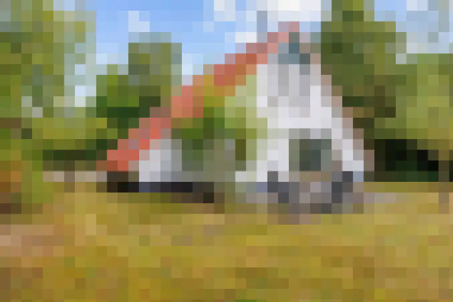De Rug 3 158 Lauwersoog thumbnail 29