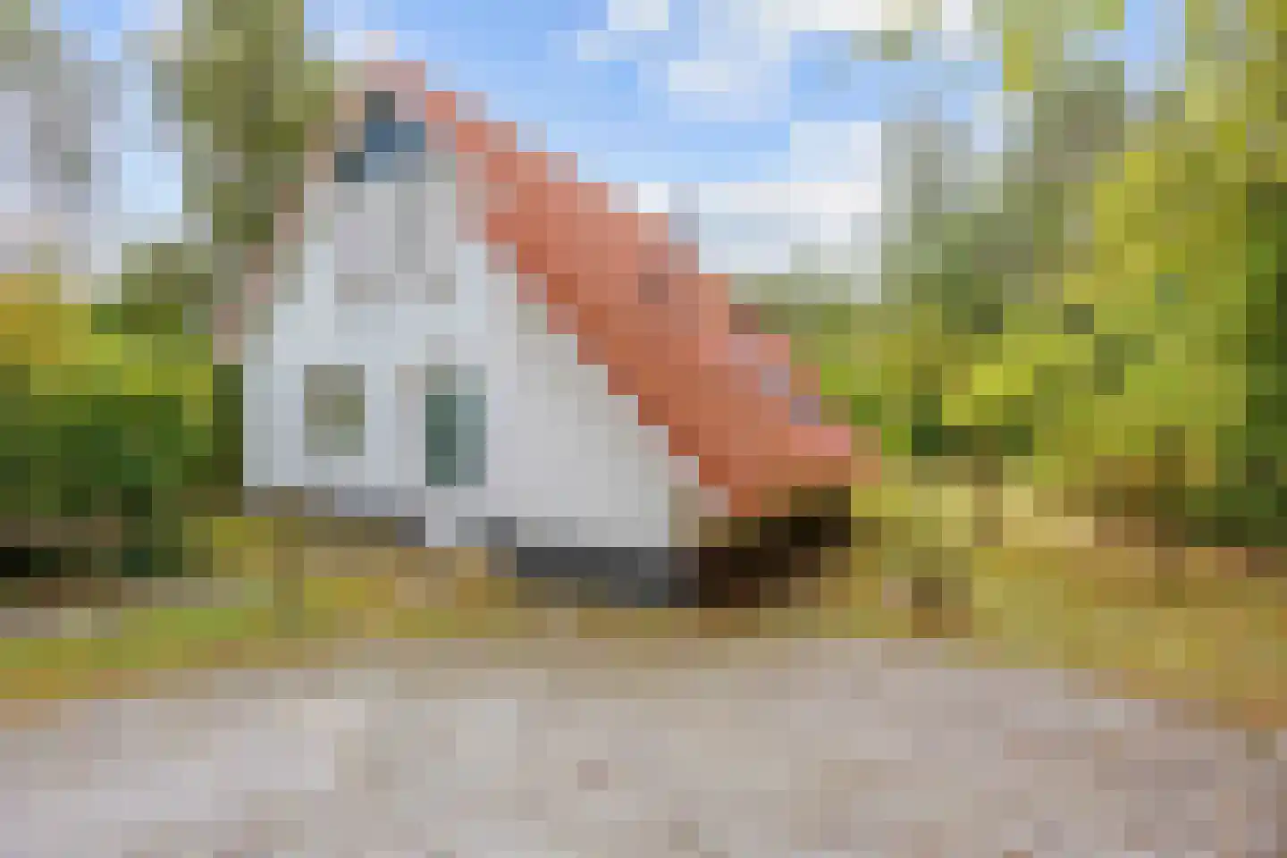 De Rug 3 158 Lauwersoog foto 3