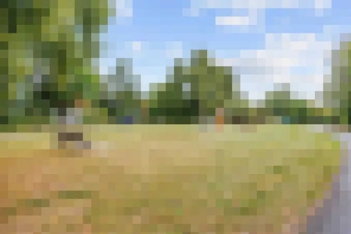 De Rug 3 158 Lauwersoog thumbnail 31