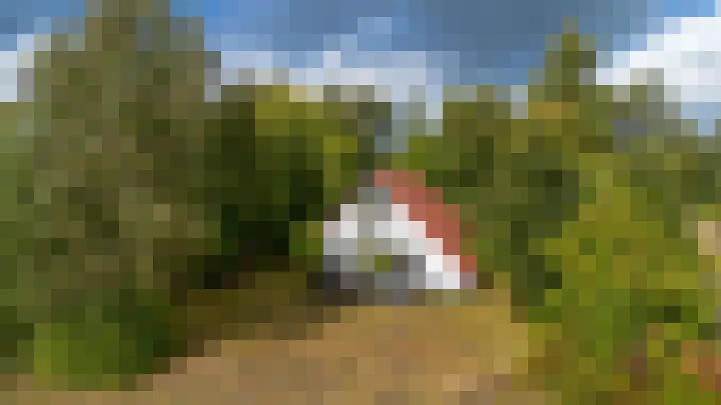 De Rug 3 158 Lauwersoog thumbnail 32
